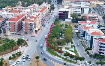 Oğlananası taksi